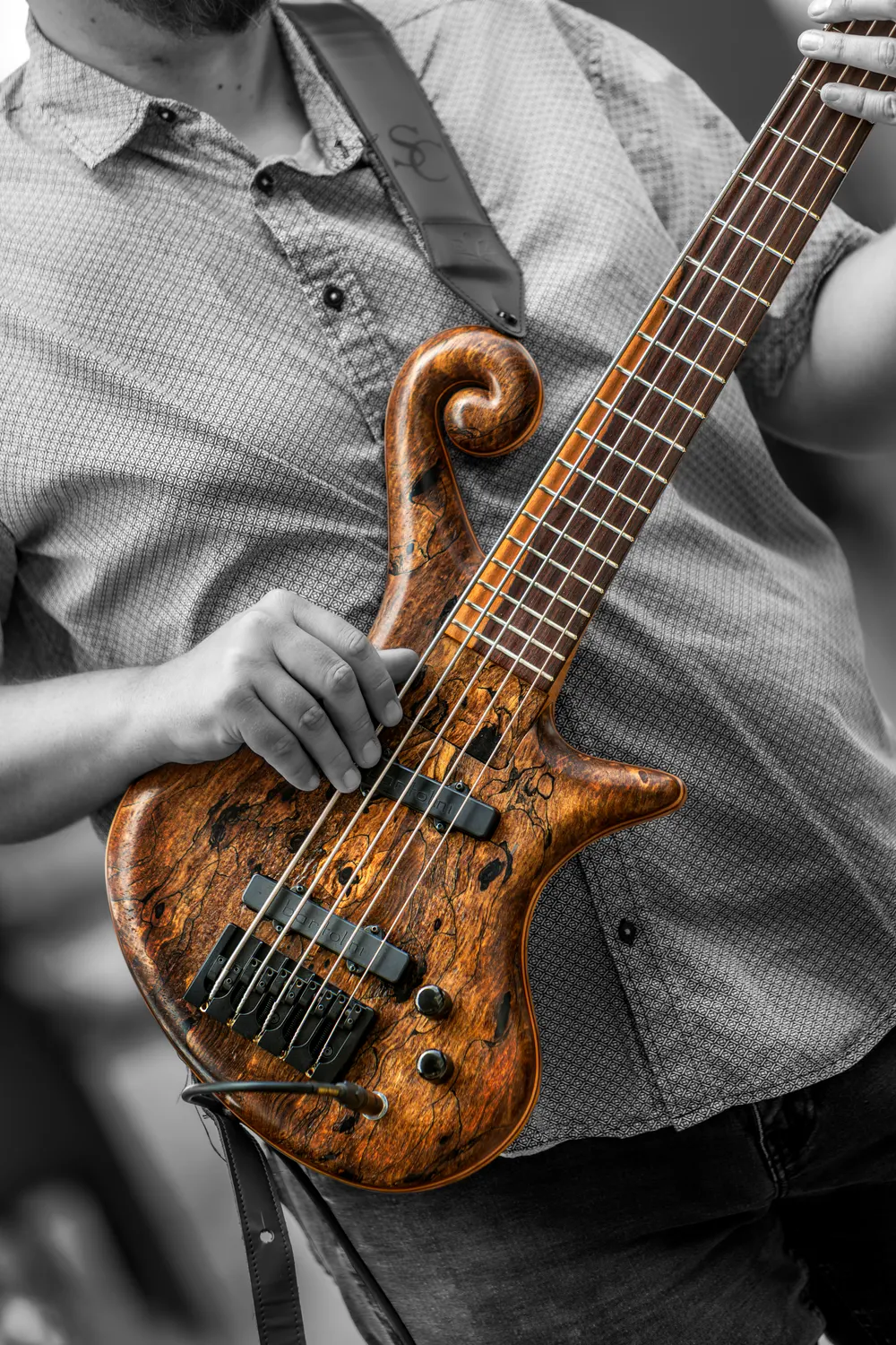 San Diego band photography by Jacob Clement, photo 11